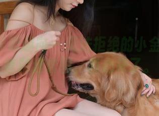 IESS异思趣向 - 无法拒绝的小金肉丝主管精选套图,真心来了。