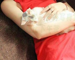 QingDouKe青豆客 - 户外写真集来了,颖莹儿YY的更新好比下午茶,有点甜蜜,也有点小懒散。