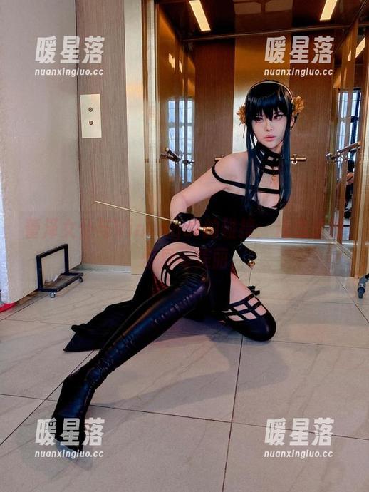 Vinnegal 蕾泽女仆与Vinnegal的碰撞:精选里的怪异与美丽
